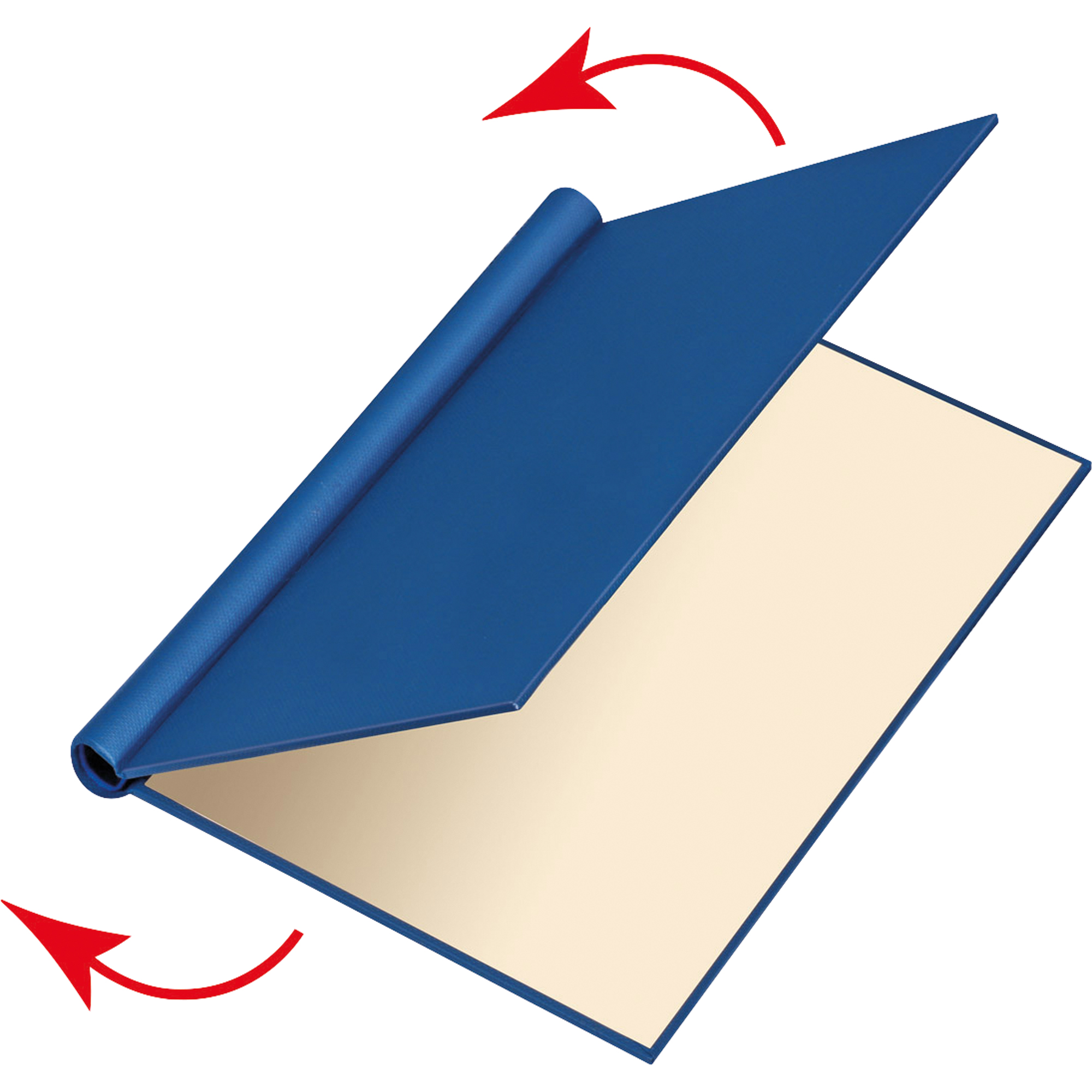 A009219C
